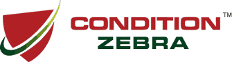 condition-zebra